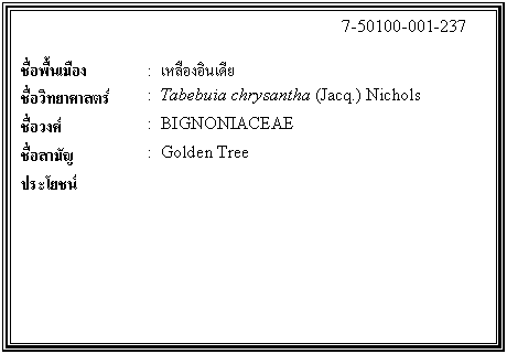 กล่องข้อความ: 7-50100-001-237 ชื่อพื้นเมือง : เหลืองอินเดีย ชื่อวิทยาศาสตร์ : Tabebuia chrysantha (Jacq.) Nichols ชื่อวงศ์ : BIGNONIACEAE ชื่อสามัญ : Golden Tree ประโยชน์